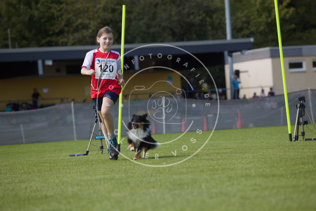 0L8A2790 | Hundefotografie, Tierfotograf, Pfotenfotografie, Fotoshooting Hund, Hunde Portrait, Hundesport, Hundeportraits, Heideshooting, Hunde, Sportfotograf, Hundefotograf, Turnierhundsport, THS,  - Realisiert mit Pictrs.com