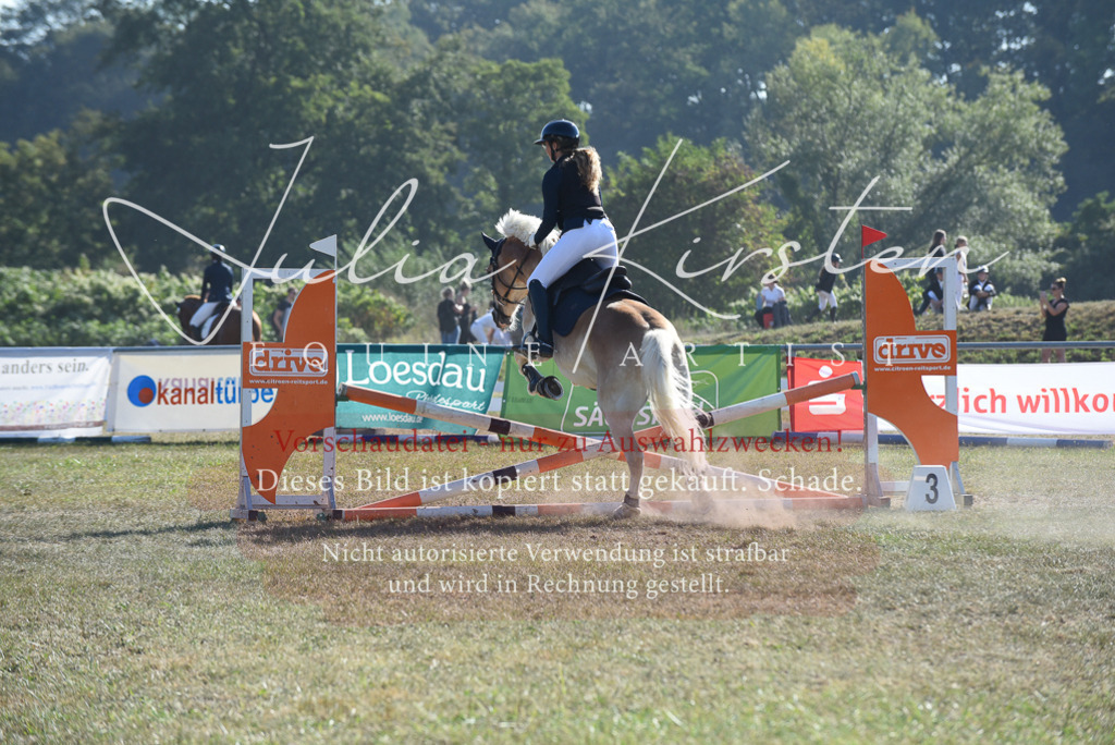 DSC_5885 | Pferde- und Turnierfotografie in Westsachsen. Pferdeportraits, Auftragszeichnungen und intuitive Kunst.