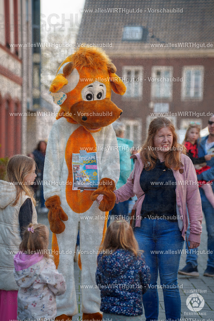 Pfötchenmarkt Nettetal-Lobberich 2026 - Nettetal-Tag - Daniel Wirth - www.allesWIRTHgut.de - @allesWIRTHgut_Tierfotografie 7R508311 | Professionelle Tierfotografie in Mönchengladbach von Daniel Wirth (allesWIRTHgut). Liebevolle & natürliche Bilder von Hunden & Katzen für unvergessliche Erinnerungen.