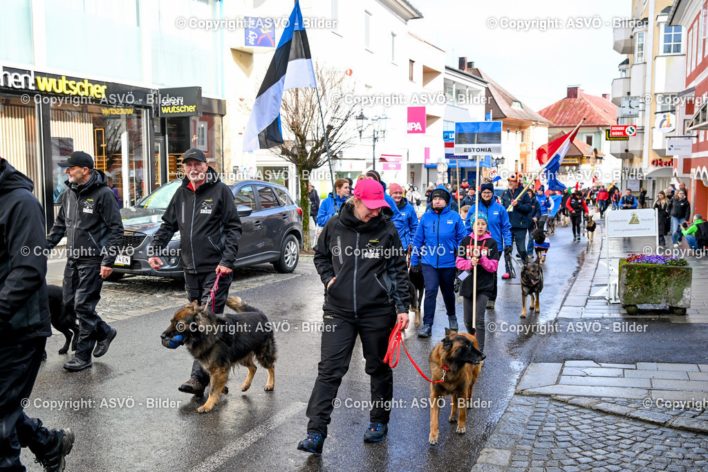 ASVÖ_ Tracking Dog World Championship 2025_ 31.03.2025-198 | 31.03.2025, AUT, ASVÖ, Tracking Dog World Championship // FCI IGP Fährtenhundeweltmeisterschaft 2025©fodo.media / Harald Dostal - Realisiert mit Pictrs.com