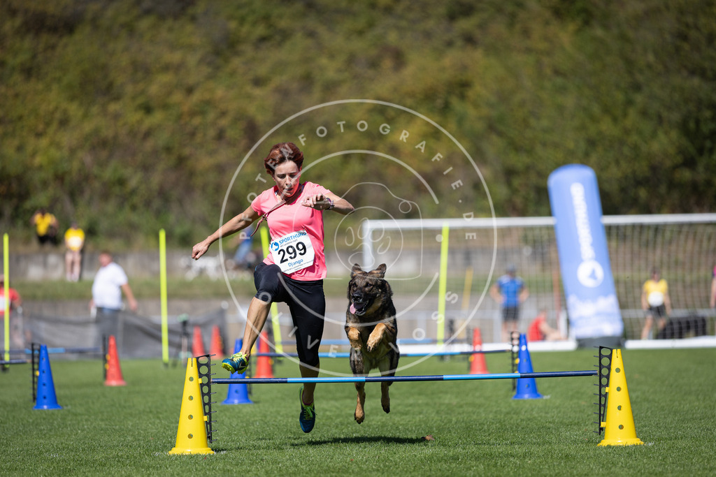 Pfotenfotografie_DV3A7720 | Hundefotografie, Tierfotograf, Pfotenfotografie, Fotoshooting Hund, Hunde Portrait, Hundesport, Hundeportraits, Heideshooting, Hunde, Sportfotograf, Hundefotograf, Turnierhundsport, THS,  - Realisiert mit Pictrs.com