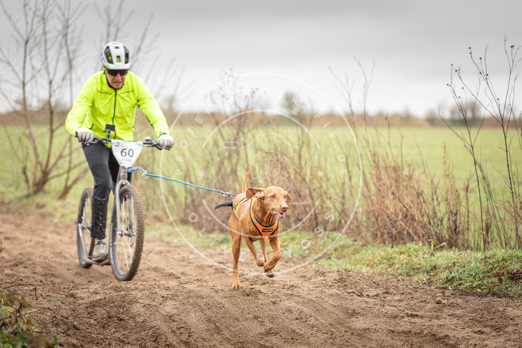 DV3A9370 | Hundefotografie, Tierfotograf, Pfotenfotografie, Fotoshooting Hund, Hunde Portrait, Hundesport, Hundeportraits, Heideshooting, Hunde, Sportfotograf, Hundefotograf, Turnierhundsport, THS,  - Realisiert mit Pictrs.com