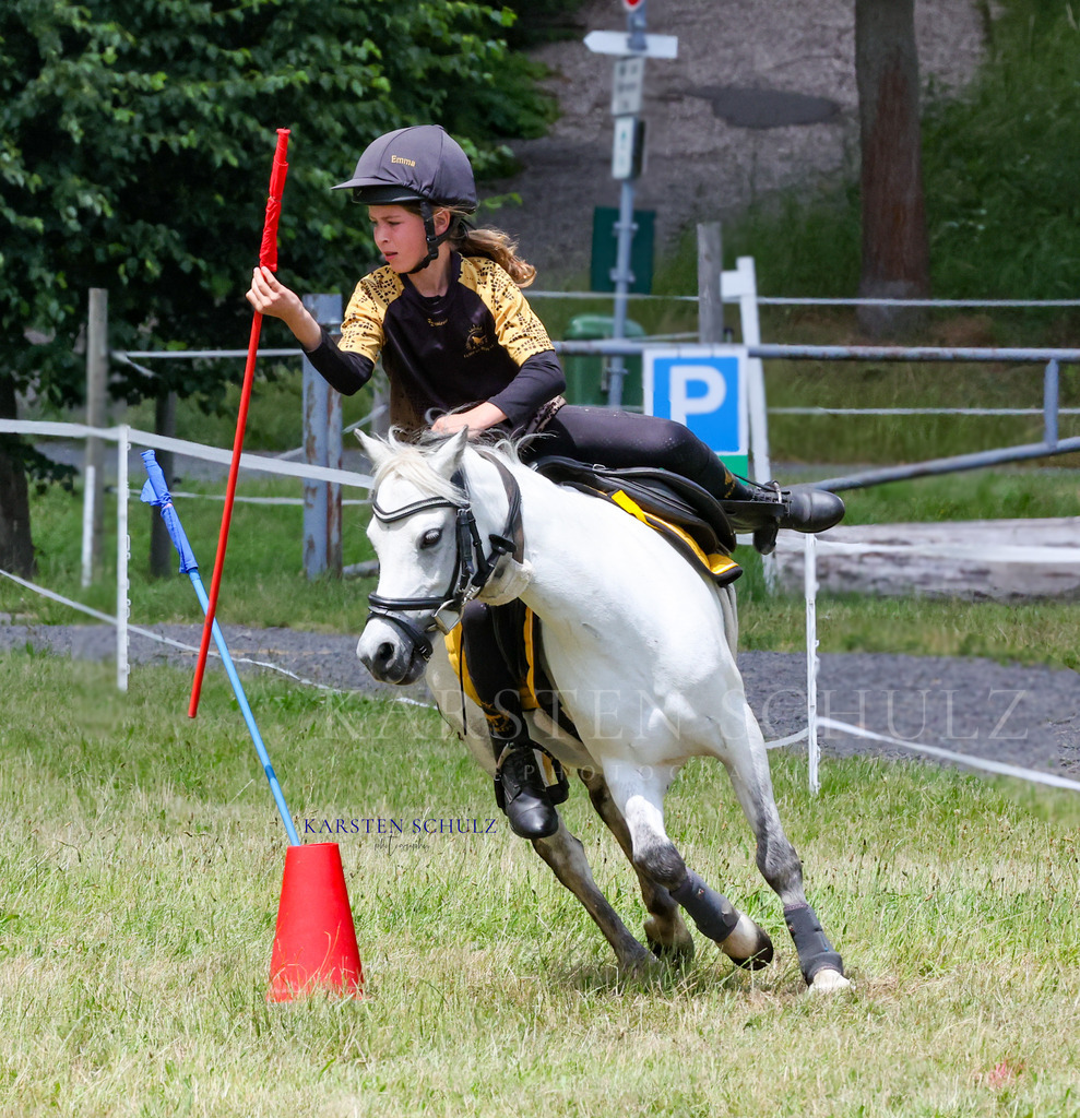 1B3A0662 | Reitsport Reiten