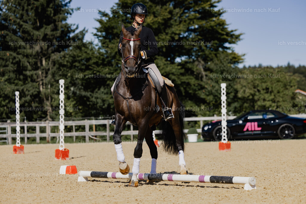 Virginie12FHC2025-27609 | working equitationturnier fotograf videograf stoibphotography marixx film working equitation deutschland reitsport turnierfotografie eventfotografie equestrian events