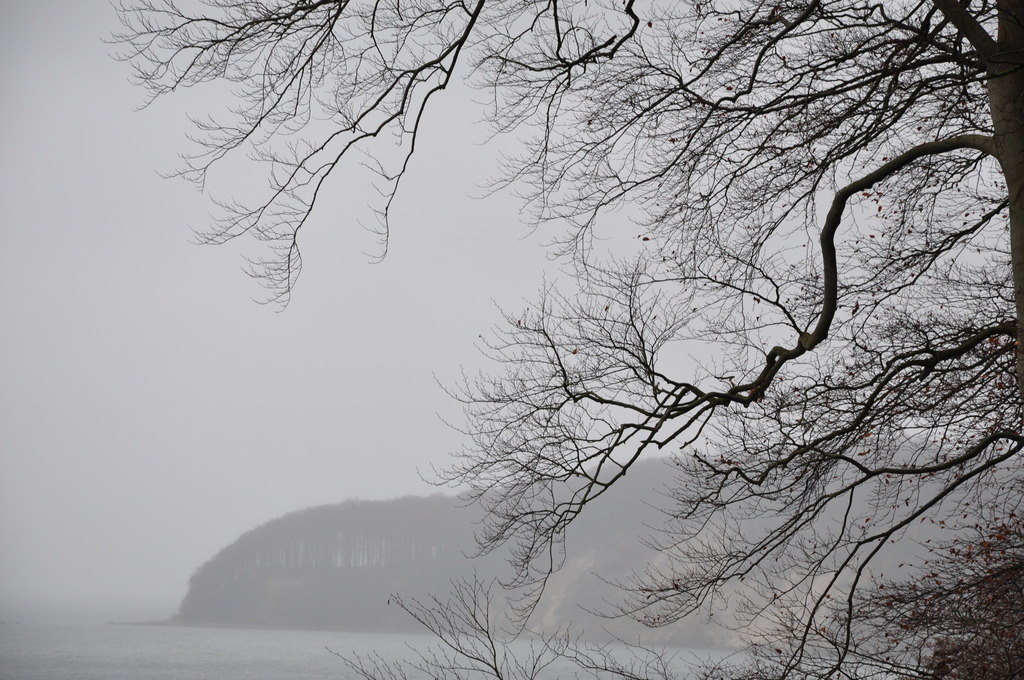 DSC_3517 | Annaeherungen - Realisiert mit Pictrs.com