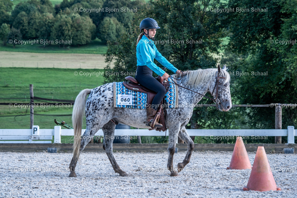 HOB01689 | BS-foto