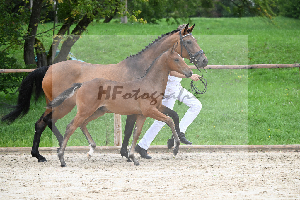 Kat-Nr. 8 HF Cellestial_Joas_25230091 | hf-fotografie - Realisiert mit Pictrs.com