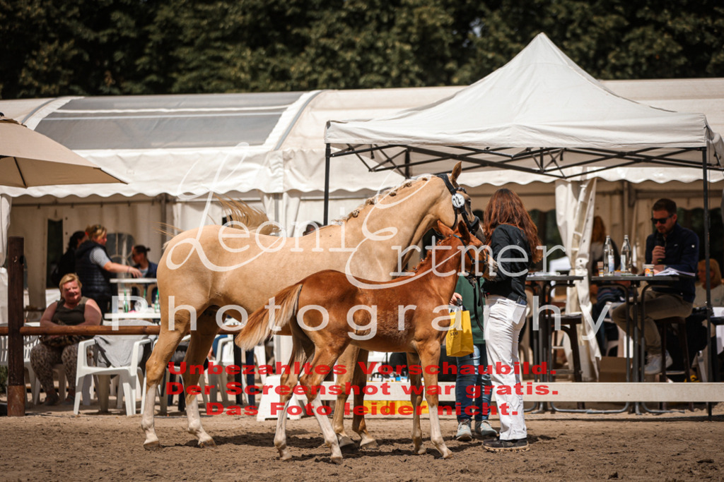 8.So00124 | Leoni Ertmer Photography - Realisiert mit Pictrs.com