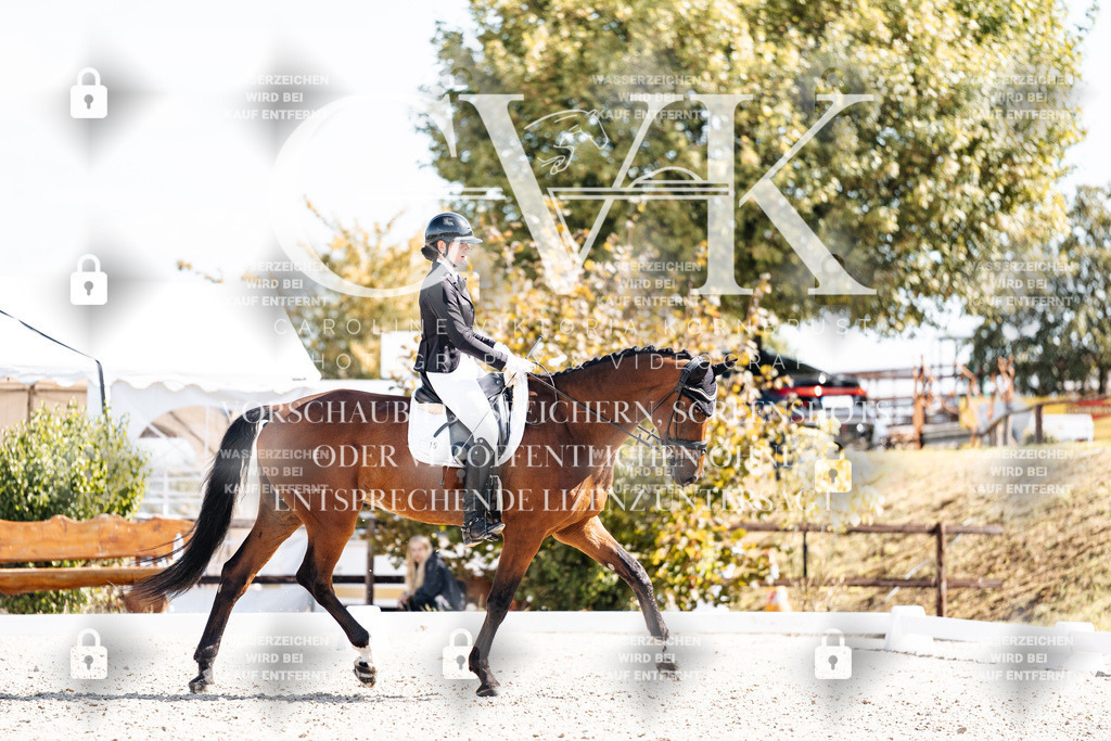CK902994 | Turnierfotografie Pferdefotografie Trier Rheinland-Pfalz Pferdesport Reitsport Tierfotografie Sportfotografie Pferdevideo Pferdevideografie Equestrianvideography equestrianphotography  - Realisiert mit Pictrs.com