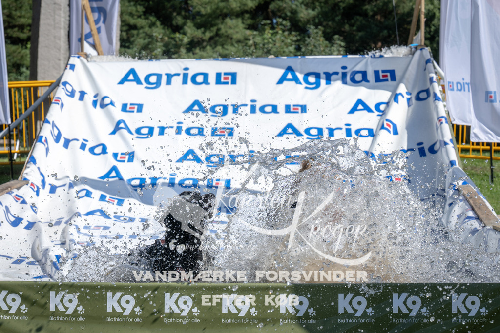 1146_ZZ94000 | kk-dogfotos
