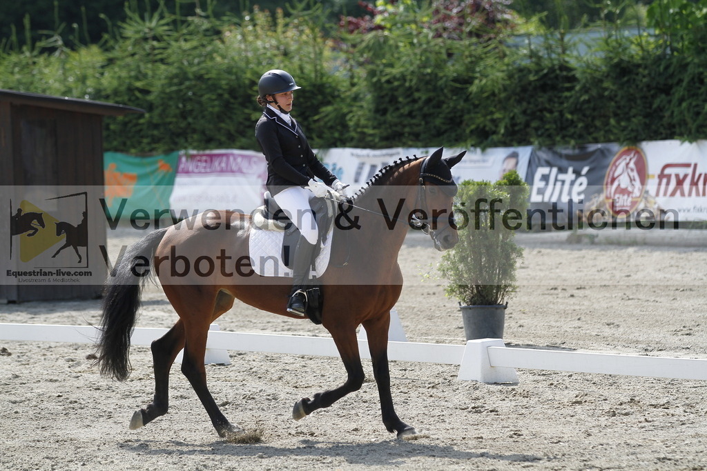 _MG_2139 | equestrian-live-com