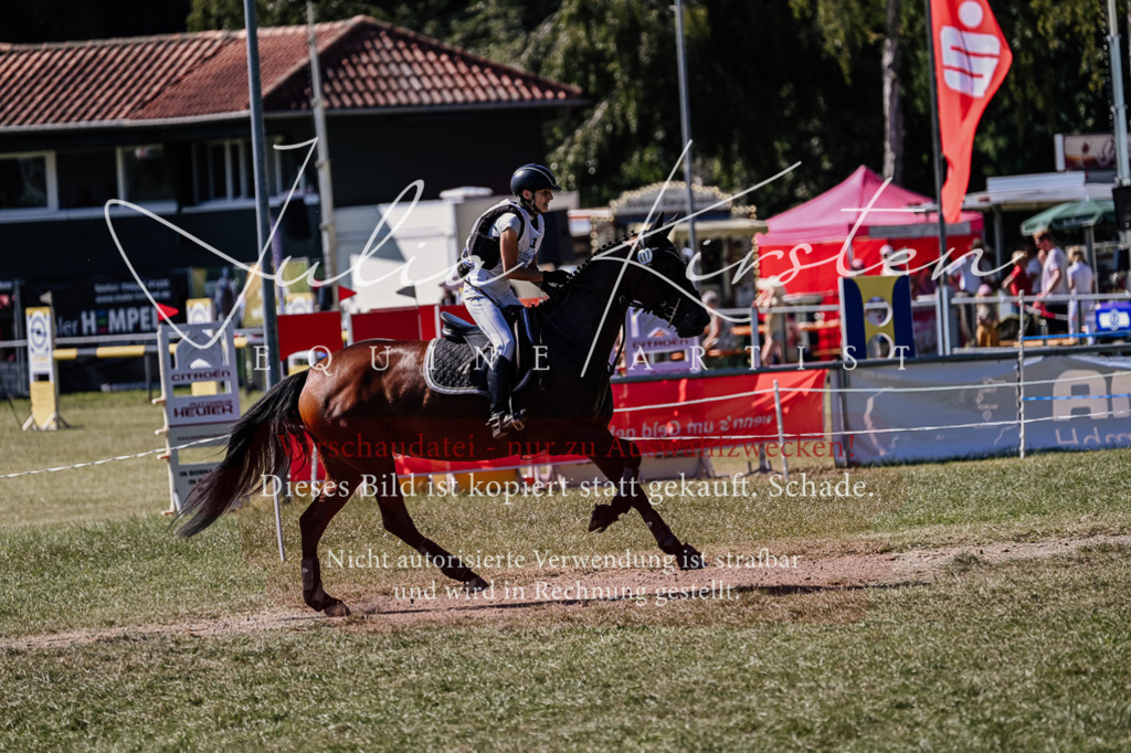 DSC_1746 | Pferde- und Turnierfotografie in Westsachsen. Pferdeportraits, Auftragszeichnungen und intuitive Kunst.