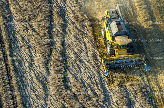 Werl230807351 | Luftbild, Feldarbeit mit Landmaschinen, Getreide mähen, Sönnern, Werl, Werl-Unnaer Börde, Nordrhein-Westfalen, Deutschland