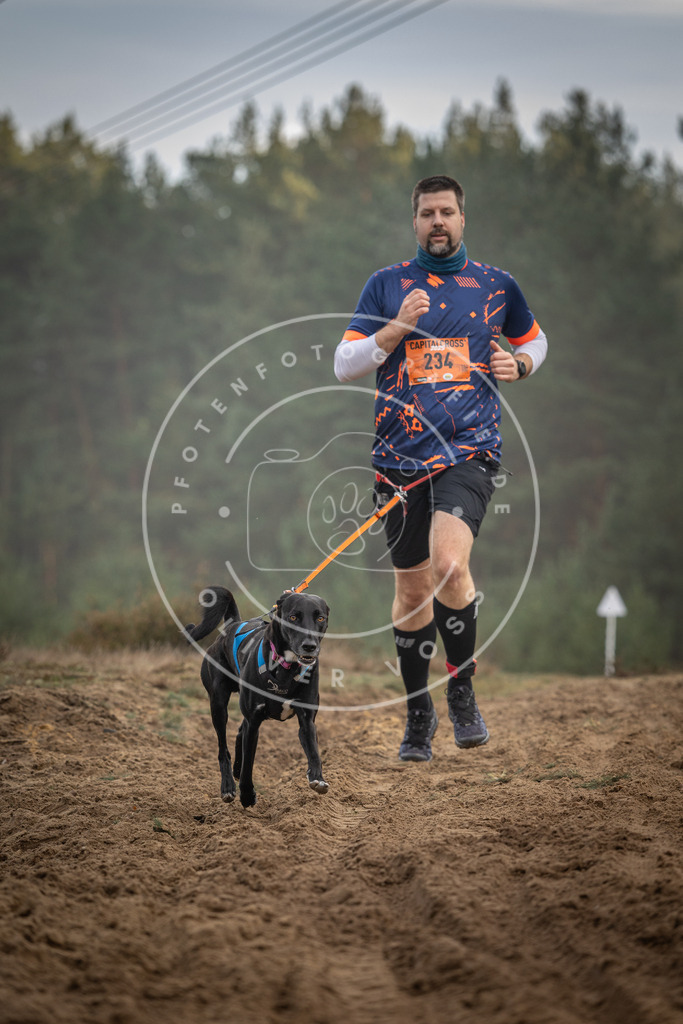 Pfotenfotografie_DV3A5621 | Hundefotografie, Tierfotograf, Pfotenfotografie, Fotoshooting Hund, Hunde Portrait, Hundesport, Hundeportraits, Heideshooting, Hunde, Sportfotograf, Hundefotograf, Turnierhundsport, THS,  - Realisiert mit Pictrs.com