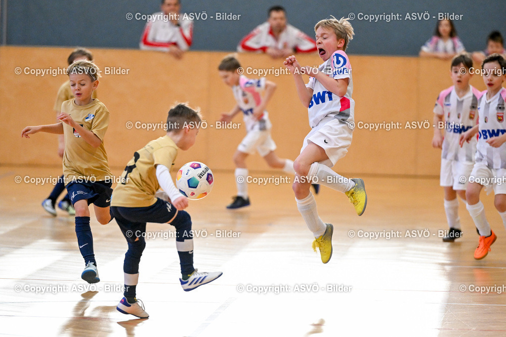 ASVÖ_ Fussballturnier SV Gallneukirchen_ 09.02.2025-28 | 09.02.2025, Gallneukirchen, AUT, ASVÖ, Fussball Nachwuchs Hallenturnier 2025, SV Gallneukirchen im Bild Teilnehmer U 9©Harald Dostal / fodo.media - Realisiert mit Pictrs.com
