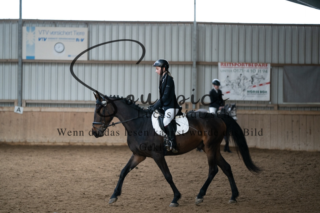 A7V05018 | Pferdefotograf