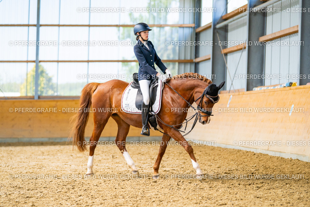 DSC08839 | Pferdegrafie