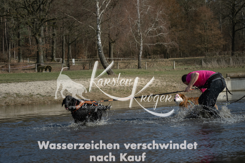 1410_ZZ90039 | kk-dogfotos