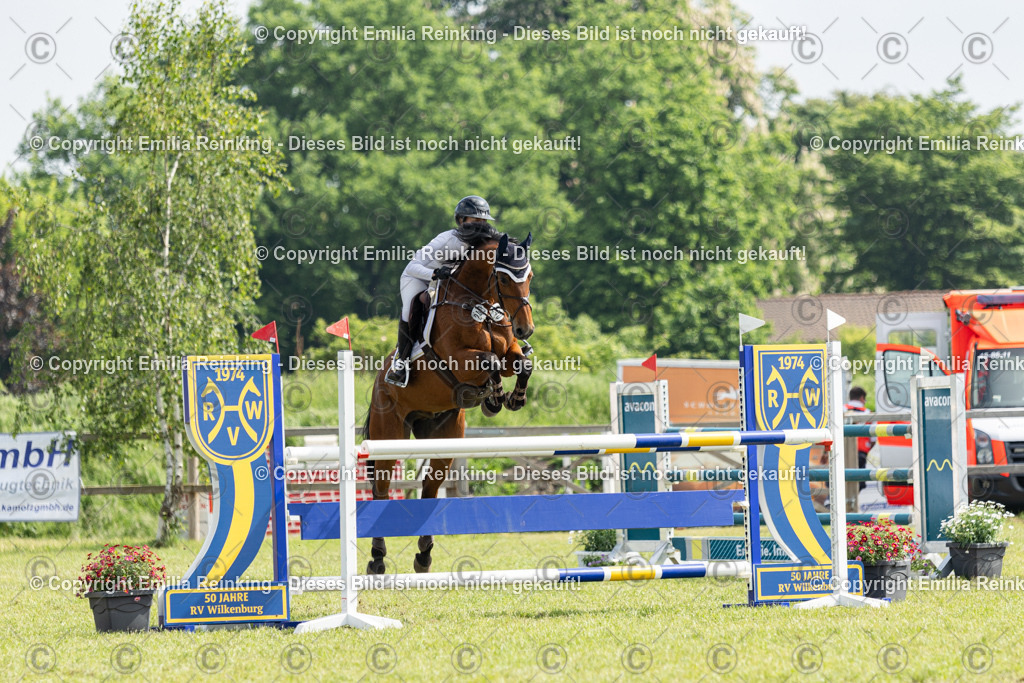 CL5A2871 | Emilia Reinking Fotografie - Realisiert mit Pictrs.com