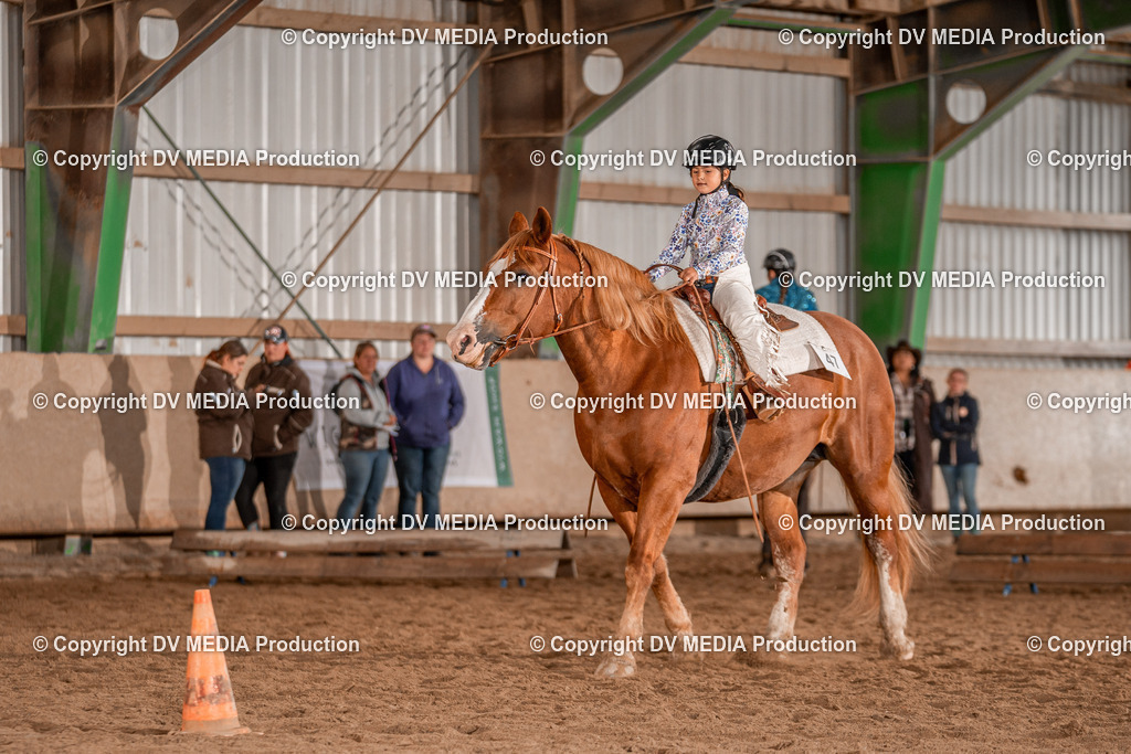 Balingen Tag 3-498 | dv-media-shop - Realisiert mit Pictrs.com