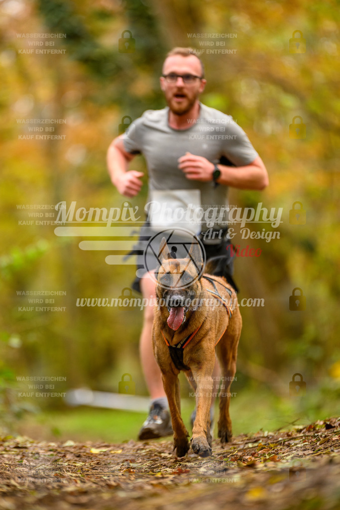 MompixPhotography_Bischwiller24_SA_Canicross-160 | mompixphotography