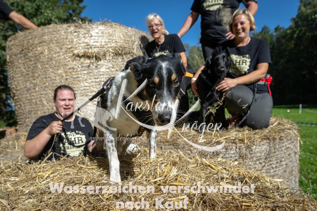 1254_ZZ92644-2 | kk-dogfotos