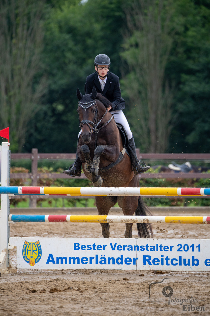 Springturnier Ammerländer Reitclub | Springturnier Ammerländer Reitclub (Punktespringprüfung KI.L 115cm am 30.06.2024; in Westerstede (Ammerländer Reitclub), Photo: Philip Eiben 2024 - Realisiert mit Pictrs.com