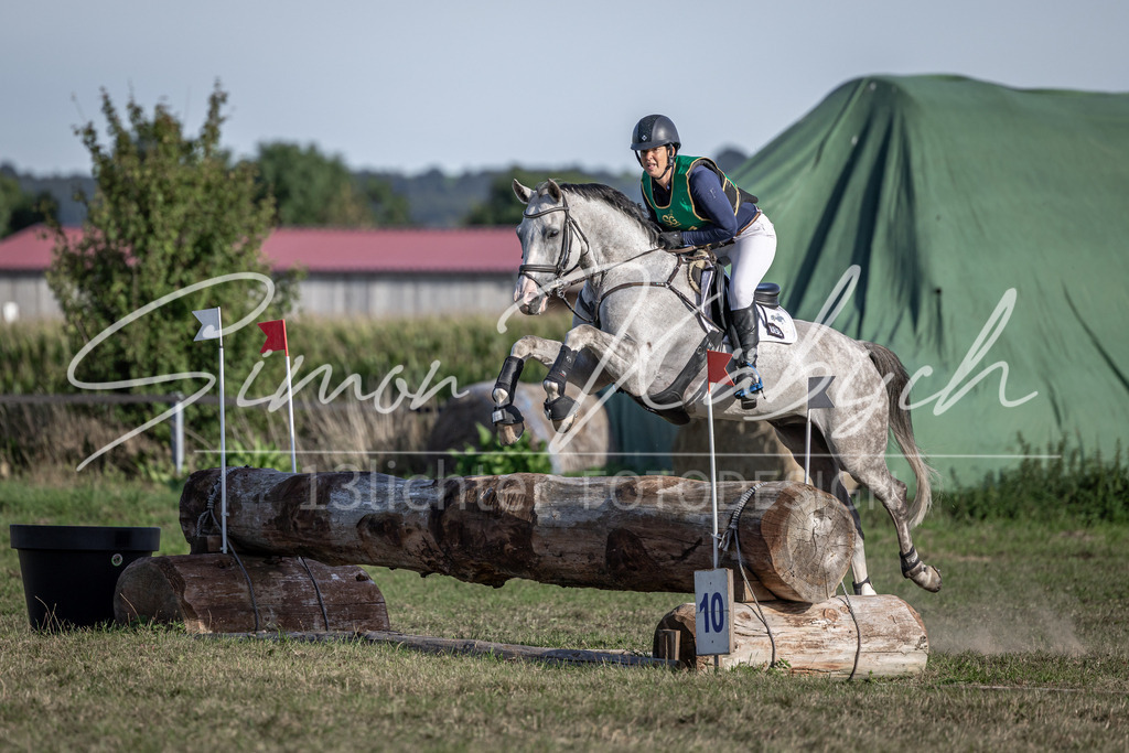 20250907-_3LI4242 | Tierfotografie Pferde, Hunde, Katzen, Haustiere.
Turnierfotografie Reitturniere, Reiten, Springreiten, Dressur in Hanau, dem Main-Kinzig-Kreis und dem Rhein-Main- Gebiet um Frankfurt