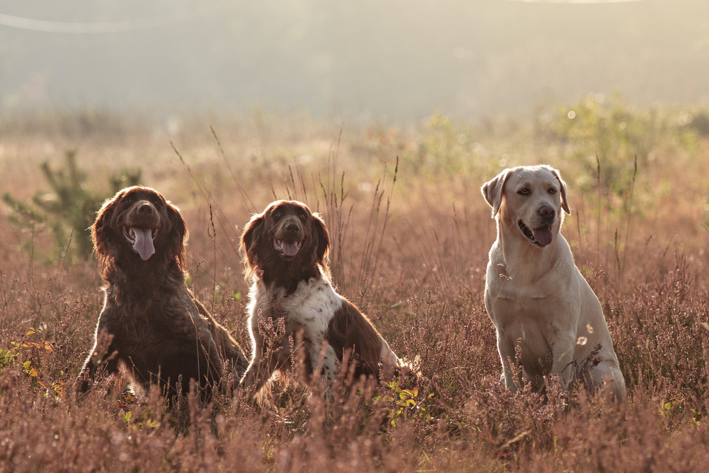 _DSC0438 | photography by friederike - Realisiert mit Pictrs.com