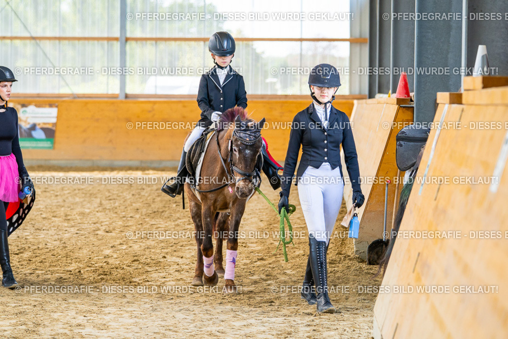 DSC00887 | Pferdegrafie