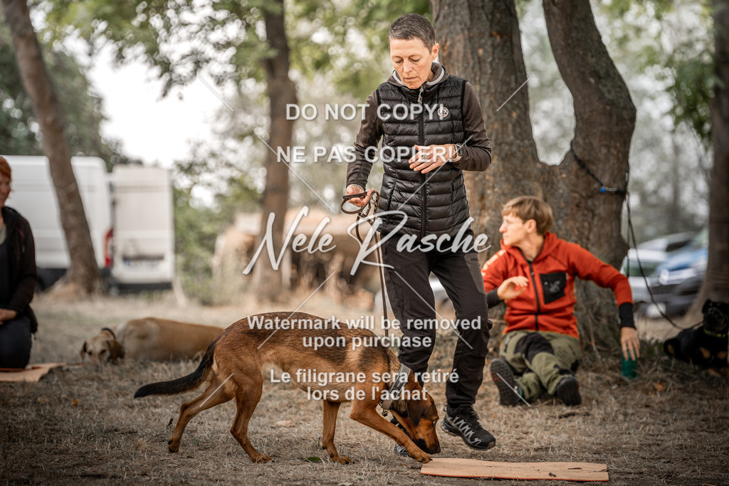 nelerasche_slaw24Fr1_303 | nelerasche