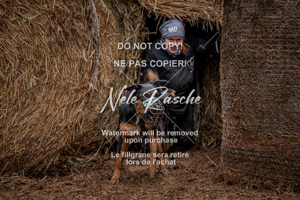 nelerasche_Hunsrück_So11-12_441 | nelerasche