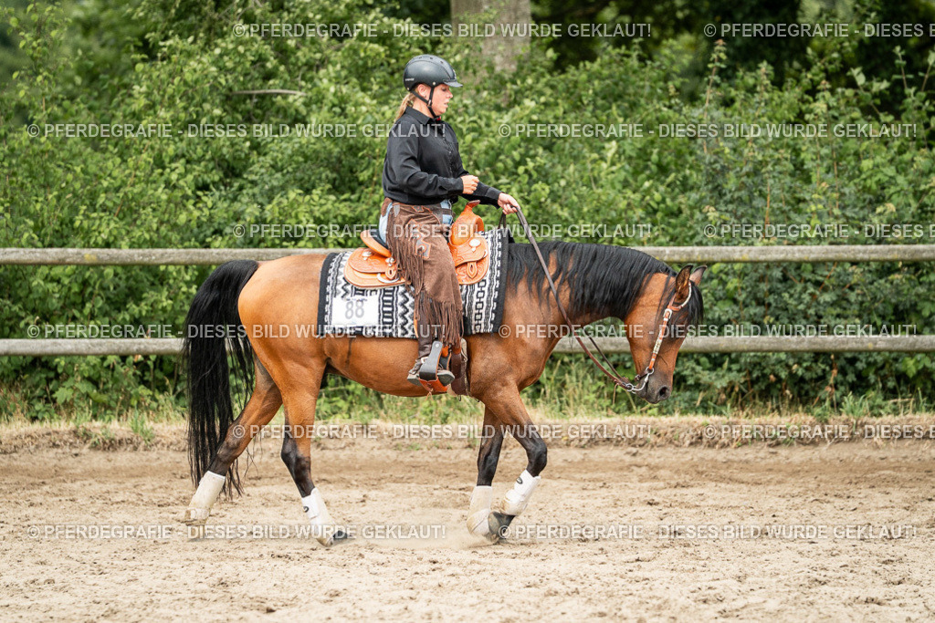 DSC04307 | Pferdegrafie