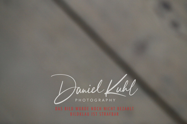 IMG_0631 | Turnierfotos kaufen im Webshop von Daniel Kuhl Photography – entdecke professionelle Reitsportfotos aus Turnieren & Events. Hochwertige Turnierbilder online bestellen & sichern. Jetzt Fotos von Reitsportturnieren kaufen!