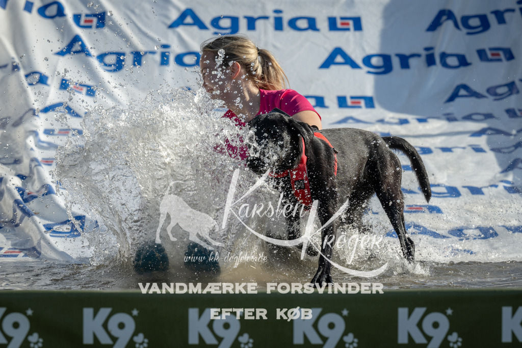 0917_ZZ94692 | kk-dogfotos