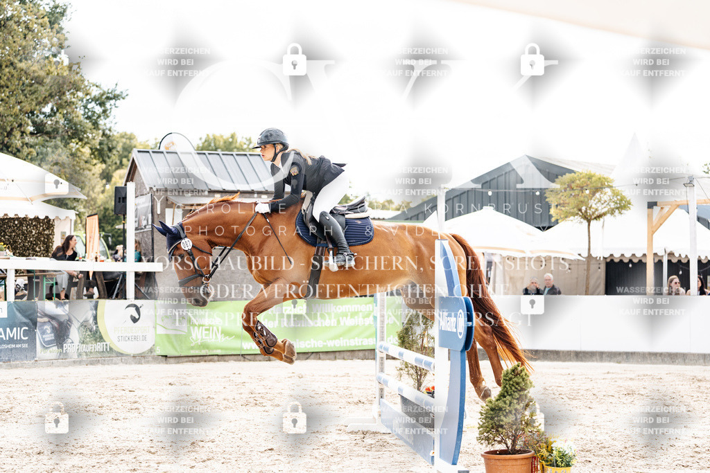 CK902949 | Turnierfotografie Pferdefotografie Trier Rheinland-Pfalz Pferdesport Reitsport Tierfotografie Sportfotografie Pferdevideo Pferdevideografie Equestrianvideography equestrianphotography  - Realisiert mit Pictrs.com