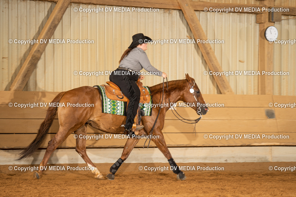 NID01531 | dv-media-shop - Realisiert mit Pictrs.com