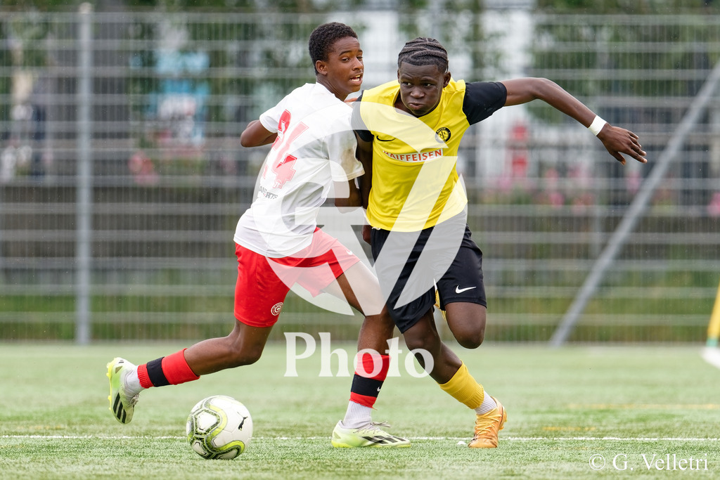 DSC_6762_M | Velletri Photo