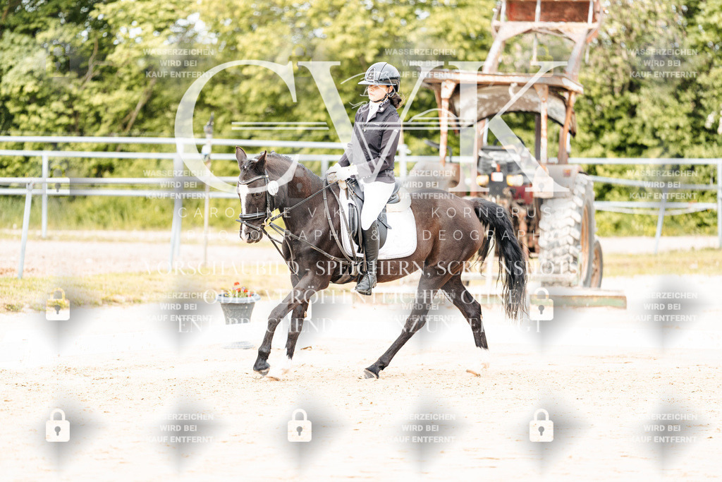CK904334 | Turnierfotografie Pferdefotografie Trier Rheinland-Pfalz Pferdesport Reitsport Tierfotografie Sportfotografie Pferdevideo Pferdevideografie Equestrianvideography equestrianphotography  - Realisiert mit Pictrs.com
