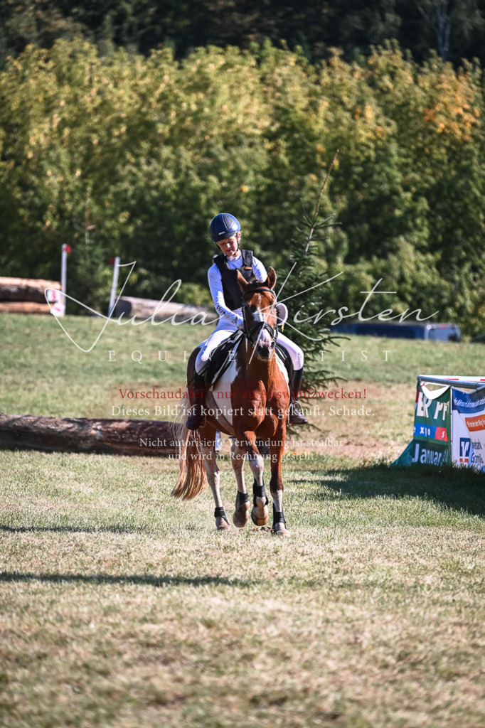 DSC_7047 | Pferde- und Turnierfotografie in Westsachsen. Pferdeportraits, Auftragszeichnungen und intuitive Kunst.