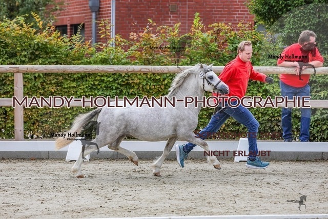 16-33 | mandyhollmannphotographie