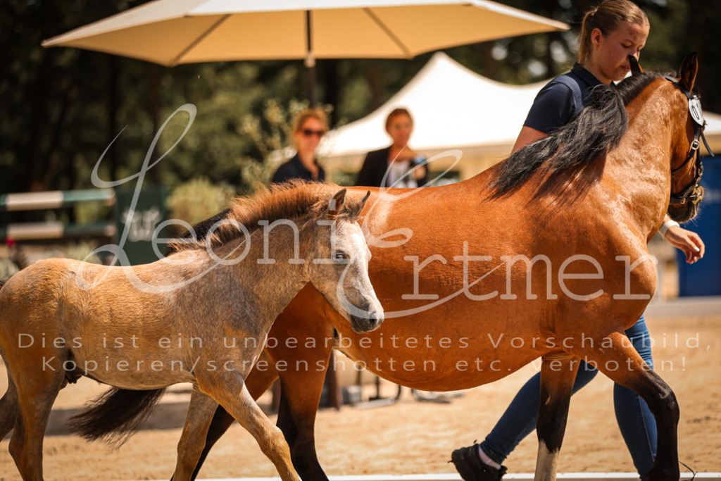 04.DoWP00022 | Leoni Ertmer Photography - Realisiert mit Pictrs.com