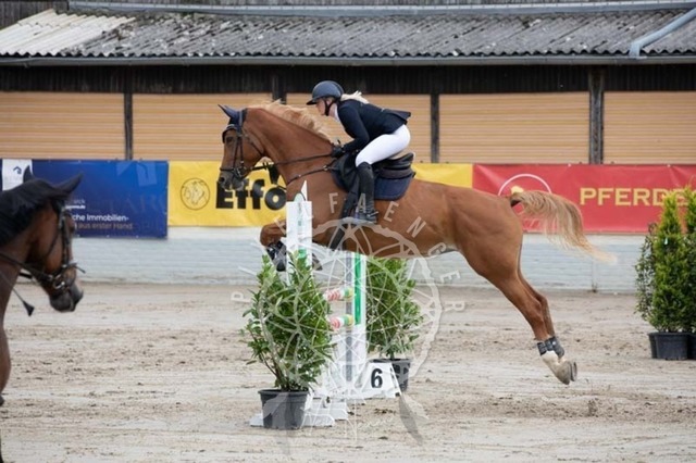 2B4A1620 | pixelfaenger - Realisiert mit Pictrs.com