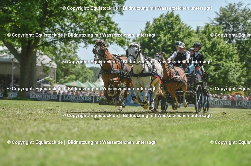 20230528_Jump-and-Drive_0282 | equistock