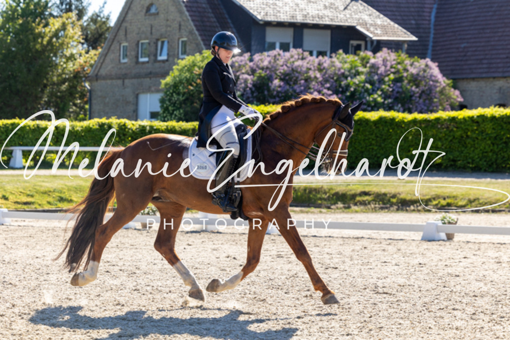 7I8A2247 | melanie-engelhardt-photography - Realisiert mit Pictrs.com