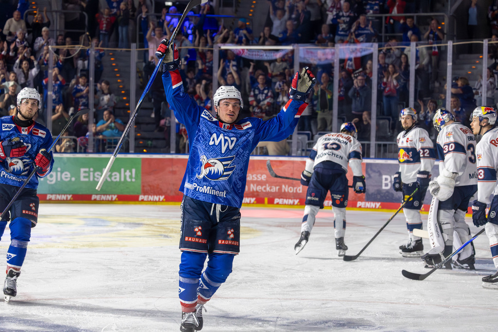 DEL, Deutsche Eishockey Liga Saison 2025/26, Playoff-Halbfinale, Spiel 5: Adler Mannheim gegen Red Bull München | DEL, Deutsche Eishockey Liga Saison 2025/26, Playoff-Halbfinale, Spiel 5: Adler Mannheim gegen Red Bull München***Justin Schütz beim Torjubel. Mit seinen Treffern hatte er maßgeblichen Anteil am Einzug ins Finale, auch wenn er in dieser Situation nicht selbst getroffen hat - Realisiert mit Pictrs.com