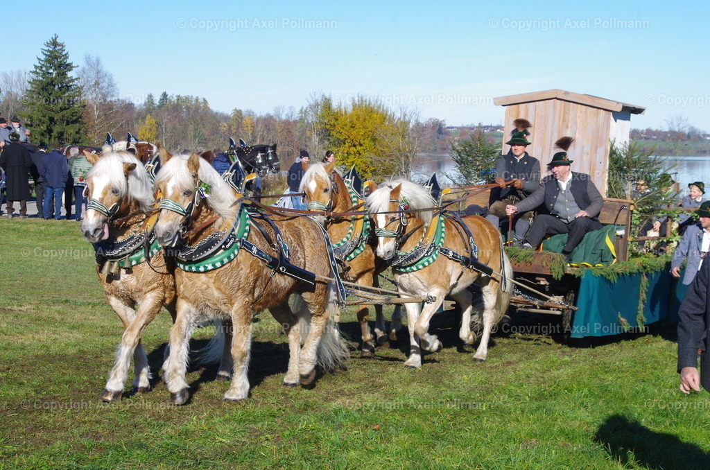 IMGP7616 | fotografiert von Axel PollmannLeonhardi Wallfahrt Benediktbeuern und Murnau, Fronleichnam, Fasching, Landschaft im Loisachtal und Benediktbeuern  - Realisiert mit Pictrs.com