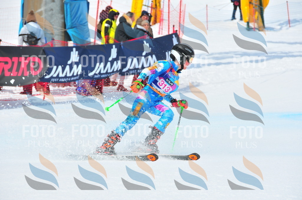 DSC_6660 | holidayphoto