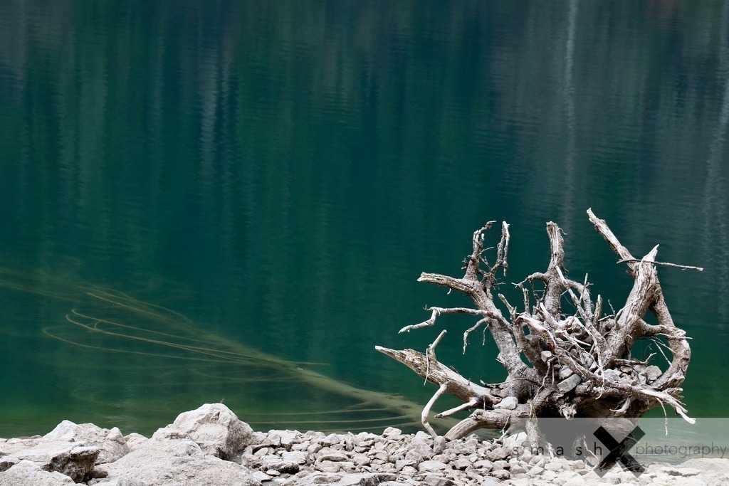 Opposites | smash-photography.com