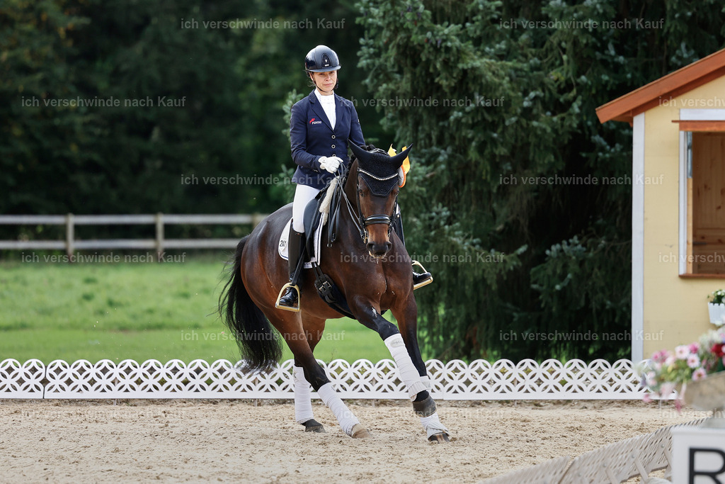 3-Siegerehrung-Dressur M_-StoibPH-2592 | working equitationturnier fotograf videograf stoibphotography marixx film working equitation deutschland reitsport turnierfotografie eventfotografie equestrian events